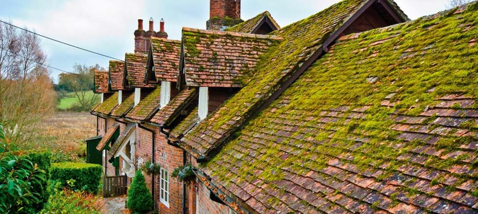 old roof over cottages green moss dormers edit