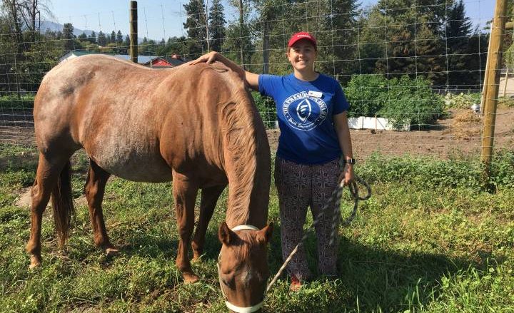 It takes a village to keep therapeutic farm thriving in Kelowna Okanagan